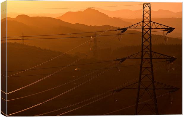  Power lines Canvas Print by Rory Trappe