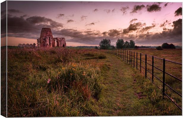 St Benets Abbey with fence Canvas Print by Stephen Mole