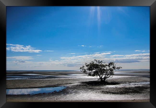 Blue Sky Shining Framed Print by Peta Thames