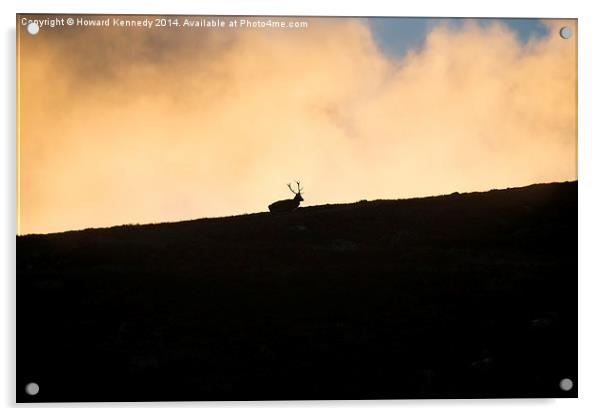 Red Deer against fiery sky Acrylic by Howard Kennedy
