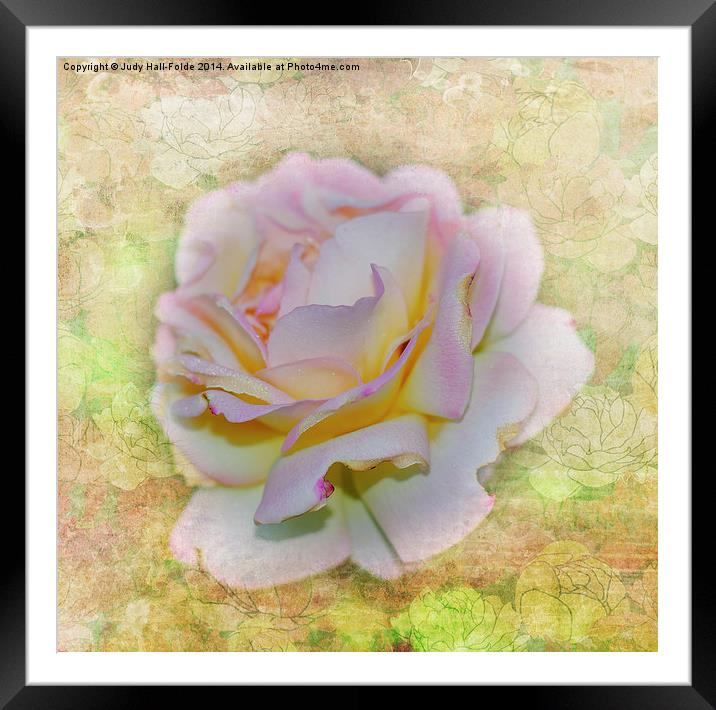  Shimmering Rose Petals Framed Mounted Print by Judy Hall-Folde