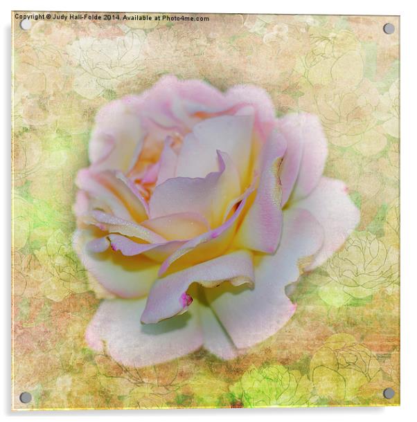  Shimmering Rose Petals Acrylic by Judy Hall-Folde