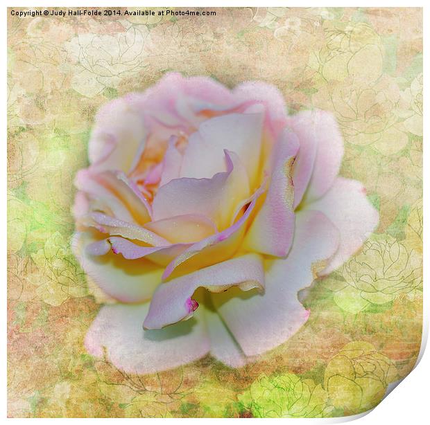  Shimmering Rose Petals Print by Judy Hall-Folde