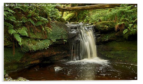  Fairlie Waterfall Acrylic by Geo Harris