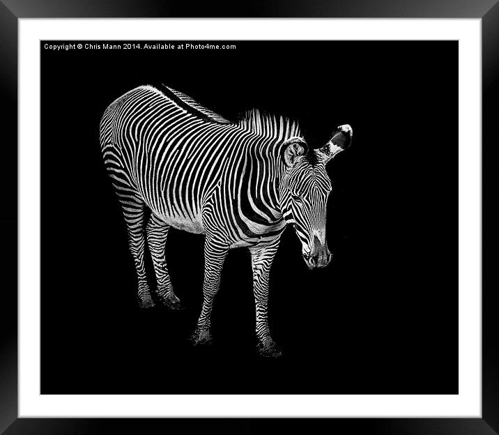  Stripes Framed Mounted Print by Chris Mann