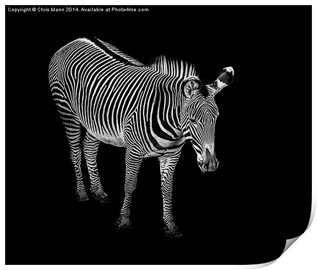  Stripes Print by Chris Mann