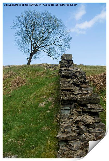  Lonely Tree Print by Richard Auty