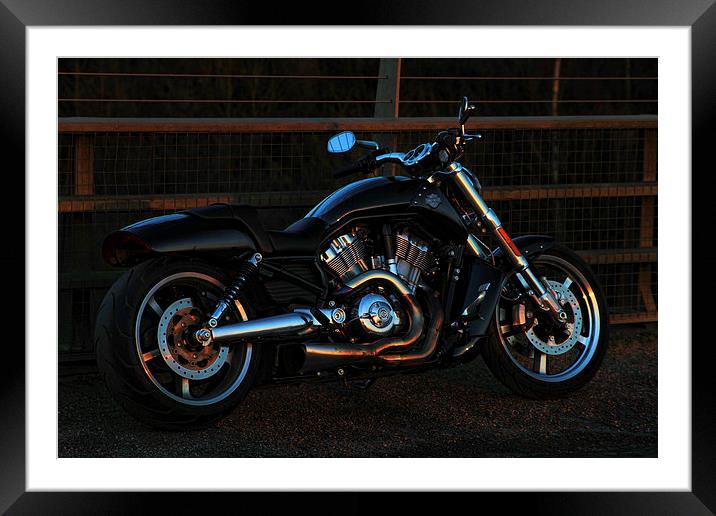  pure muscle Framed Mounted Print by andrew moreton