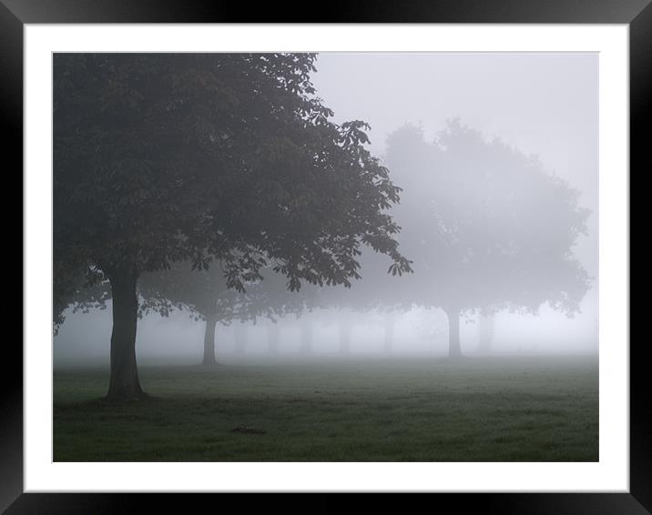 Trees in the mist Framed Mounted Print by Stephen Mole