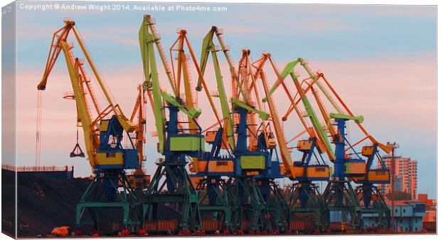 Dayglow Cranes Canvas Print by Andrew Wright