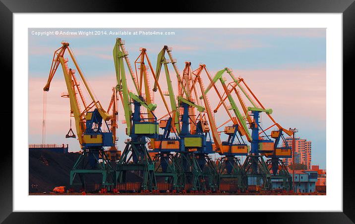 Dayglow Cranes Framed Mounted Print by Andrew Wright