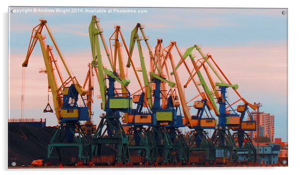 Dayglow Cranes Acrylic by Andrew Wright