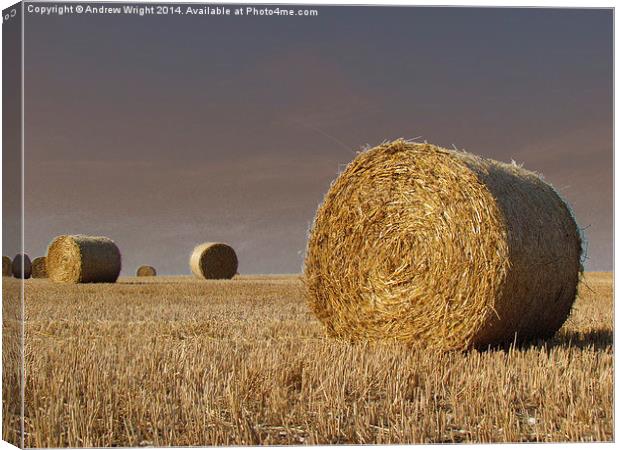  Harvest Storm Canvas Print by Andrew Wright