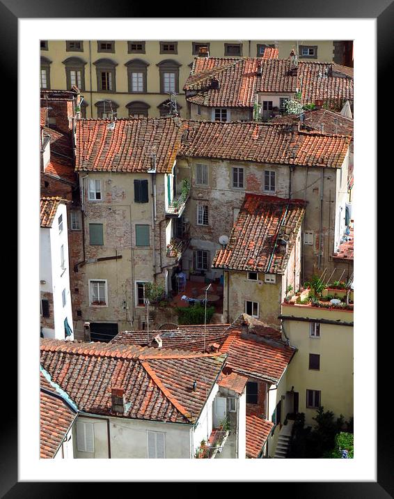  Lucca Roof Tiles Framed Mounted Print by Andrew Wright