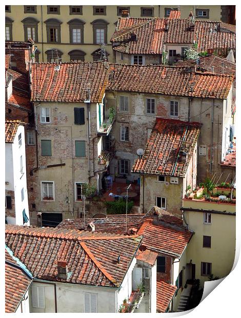  Lucca Roof Tiles Print by Andrew Wright