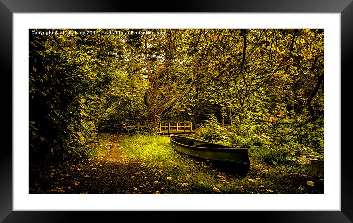  First Fall  Framed Mounted Print by Ali  Daisley