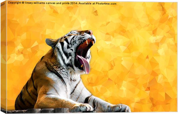  Golden Tiger Moment Canvas Print by Linsey Williams