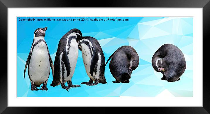  Penguin Party Framed Mounted Print by Linsey Williams