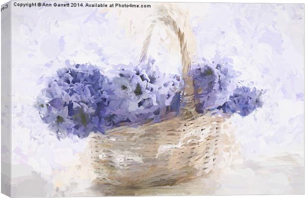 Basket of Hyacinth - Digital Painting Canvas Print by Ann Garrett
