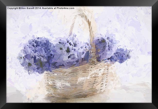 Basket of Hyacinth - Digital Painting Framed Print by Ann Garrett