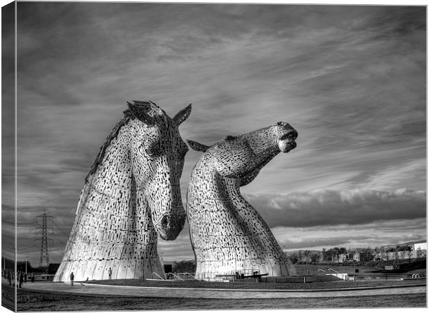 The Kelpies, Falkirk. Canvas Print by Tommy Dickson