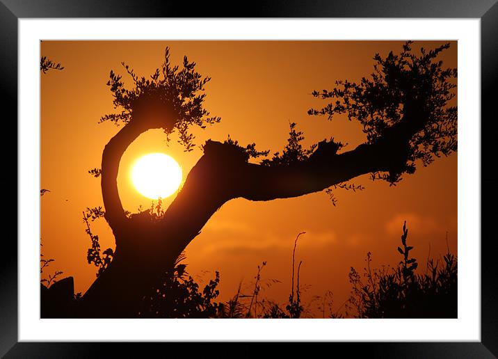 sunset view Framed Mounted Print by Mustafa khabeisa
