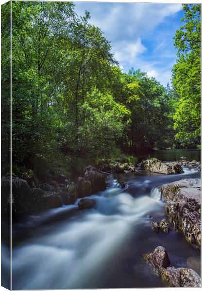  Summer River Canvas Print by Ian Mitchell