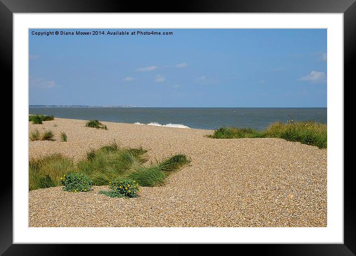  Dunwich heath  Beach Framed Mounted Print by Diana Mower