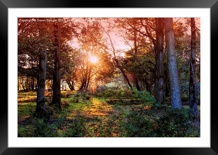  Sunset in autumn Framed Mounted Print by Susan Sanger