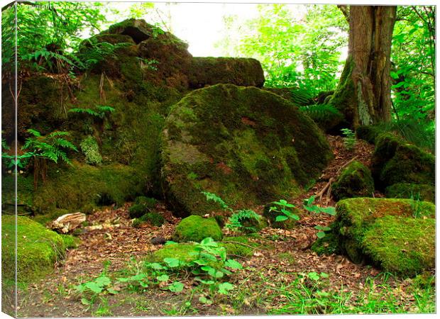  Woodland Millstone Canvas Print by Andrew Wright