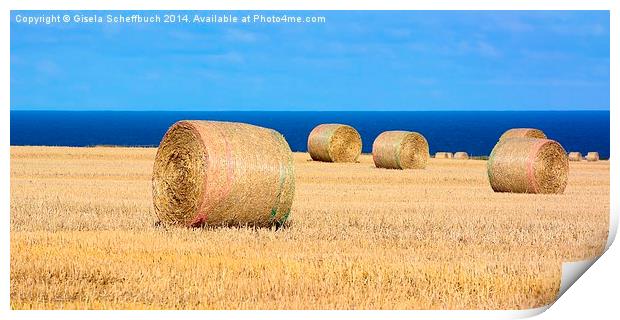  Bales of Straw on the Coast Print by Gisela Scheffbuch
