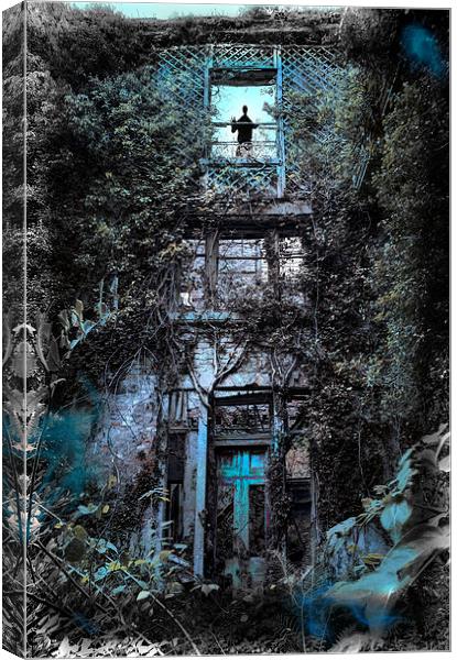  The Haunted House Canvas Print by Mal Bray