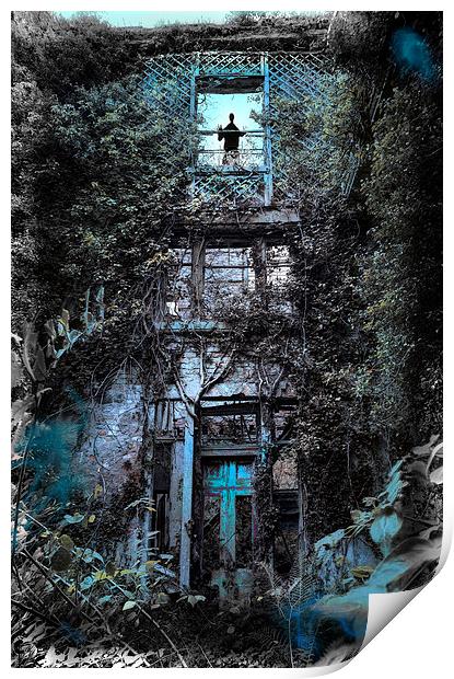  The Haunted House Print by Mal Bray