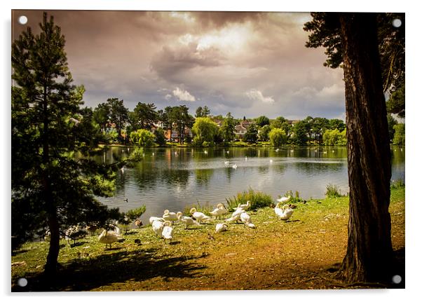 Roath Park Lake, Cardiff, Wales, UK Acrylic by Mark Llewellyn