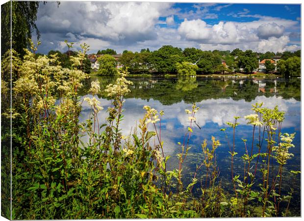 Reflections of Roath Park, Cardiff, Wales, UK Canvas Print by Mark Llewellyn