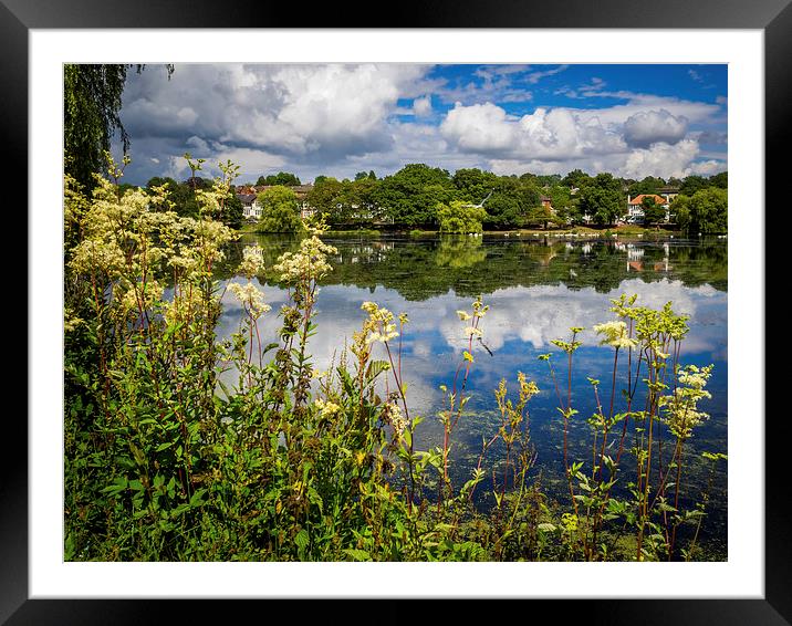 Reflections of Roath Park, Cardiff, Wales, UK Framed Mounted Print by Mark Llewellyn