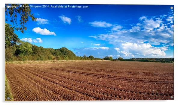  Ringstead Fields, Norfolk Acrylic by Alan Simpson