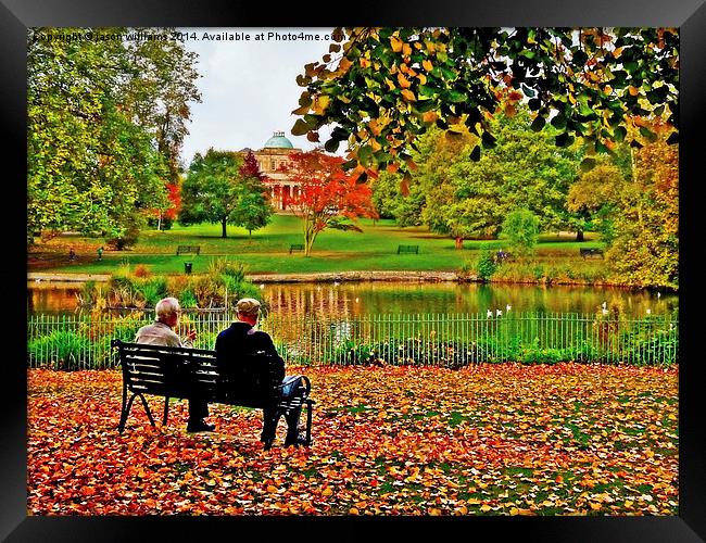Autumn of Their Years.  Framed Print by Jason Williams