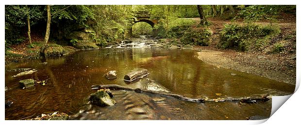  May Beck, Whitby Panoramic Print by Dave Hudspeth Landscape Photography
