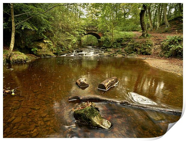  May Beck, Whitby Panoramic Print by Dave Hudspeth Landscape Photography