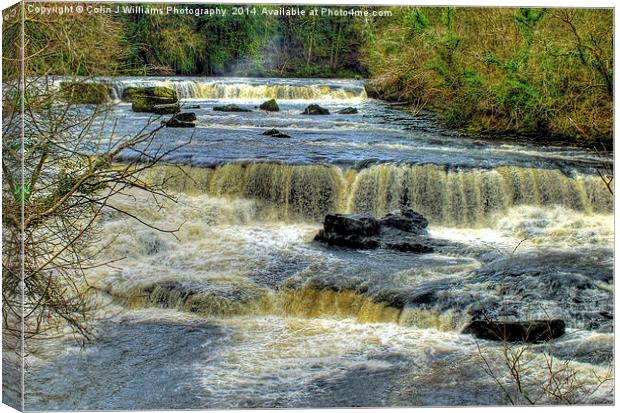  Upper Falls Aysgarth 2 - Yorkshire Dales Canvas Print by Colin Williams Photography