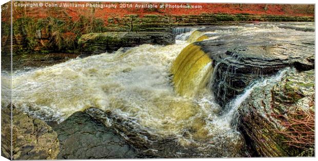   Lower Falls Aysgarth 1 - Yorkshire Dales Canvas Print by Colin Williams Photography