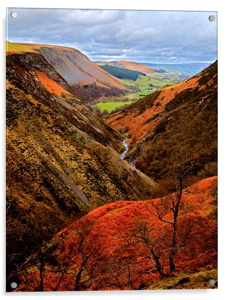 Welsh Valley Colours of Autumn Acrylic by Mike Gorton