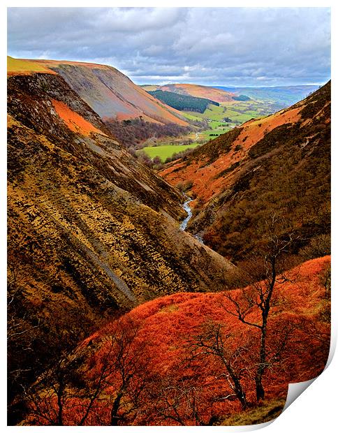 Welsh Valley Colours of Autumn Print by Mike Gorton