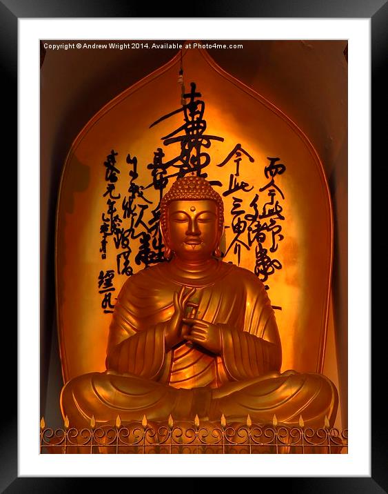  Morning Glow, World Peace Stupa Framed Mounted Print by Andrew Wright