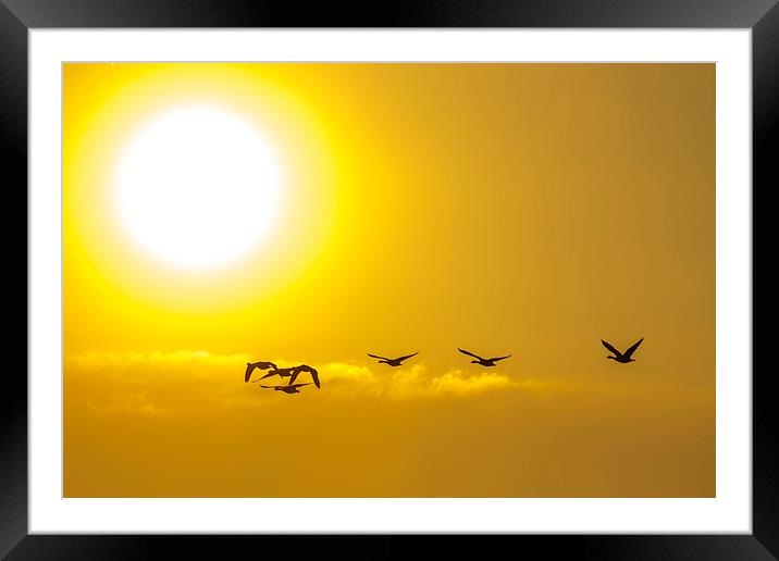  Towards the Sun Framed Mounted Print by peter tachauer