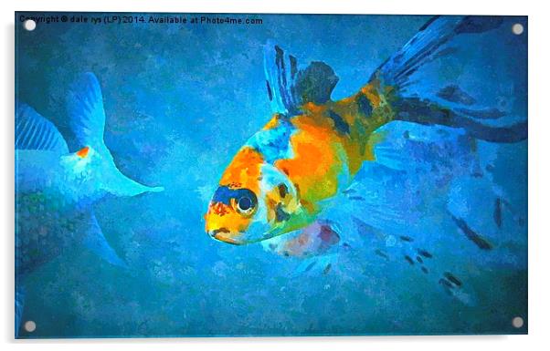  fish eye Acrylic by dale rys (LP)