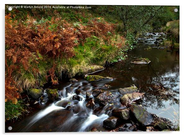 Yorkshire Moorland Stream Acrylic by Martyn Arnold