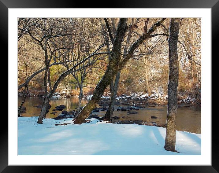  December snow Framed Mounted Print by JUDY LACEFIELD