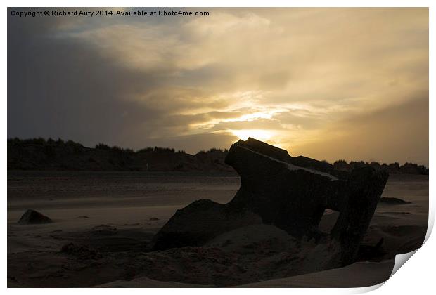  Debris in the sand Print by Richard Auty